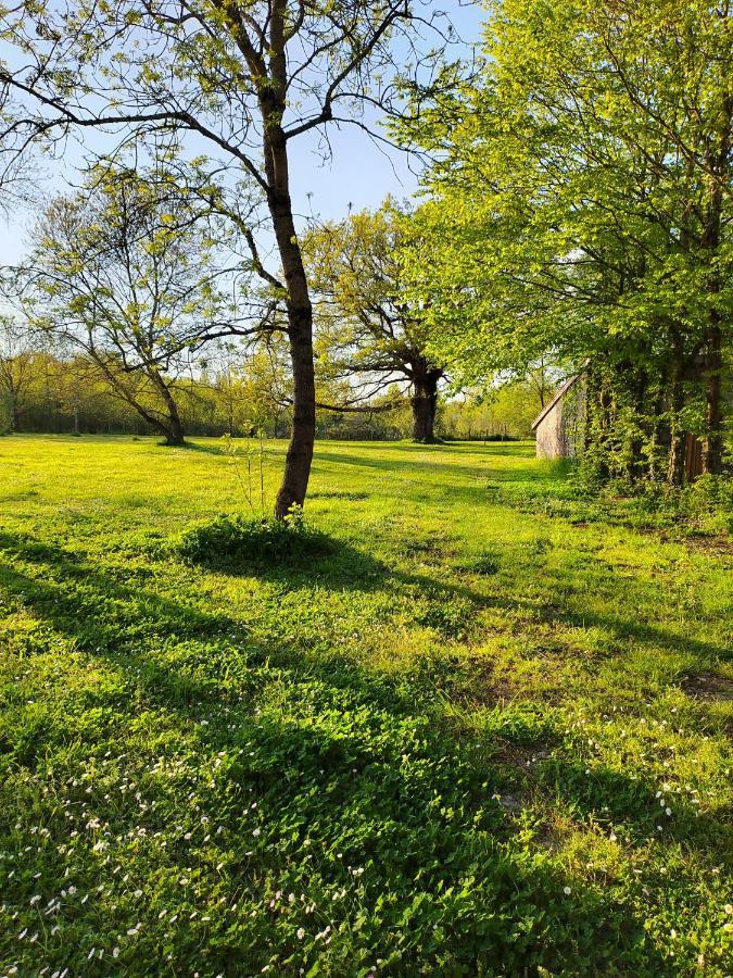 Gite De La Janiere Sainte-Luce-sur-Loire Exterior foto